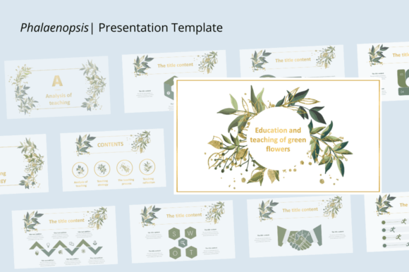Phalaenopsis: Elevating Presentations with Professional Design